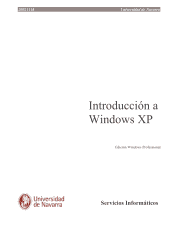 Manual de Windows XP